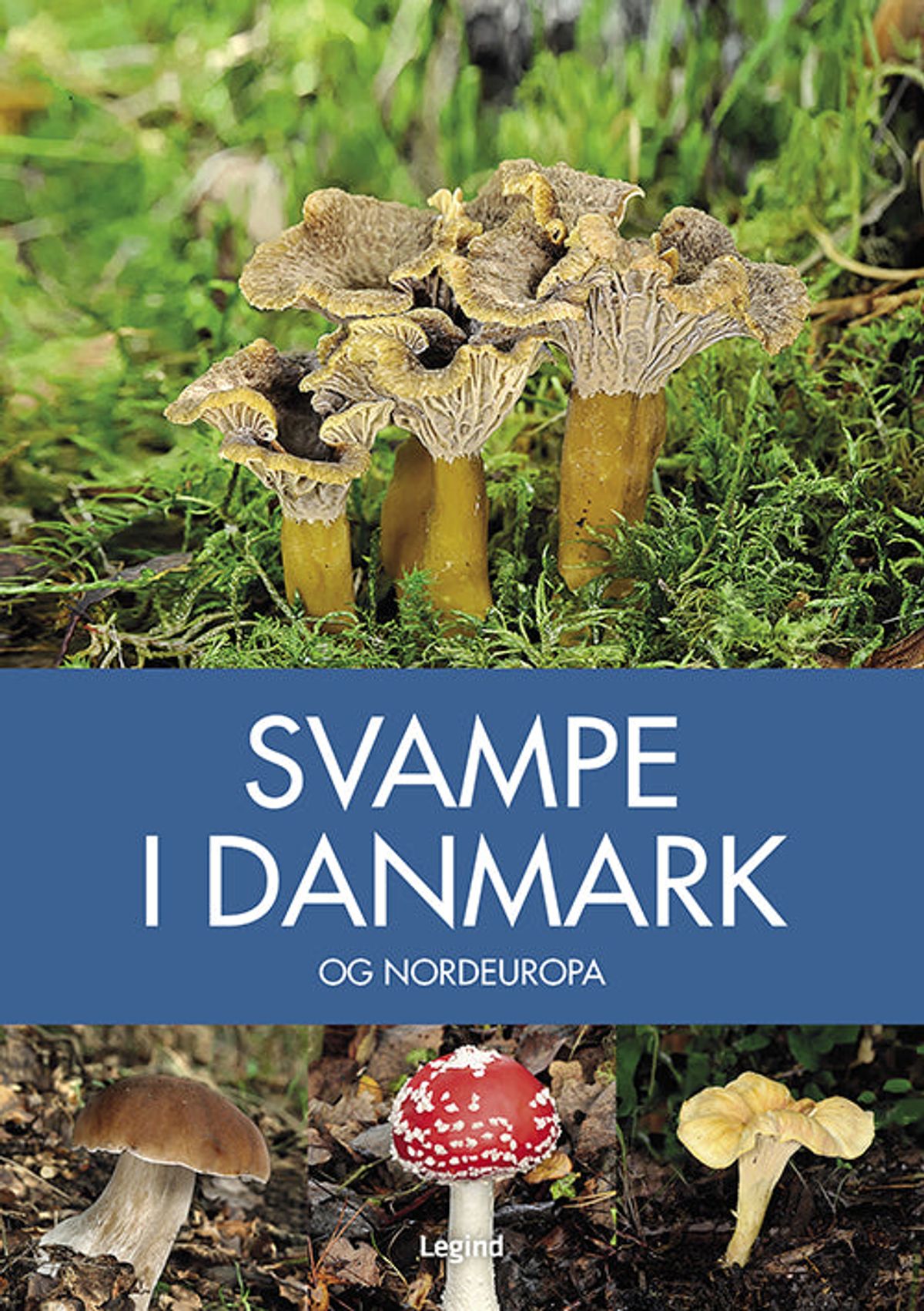 Svampe i Danmark