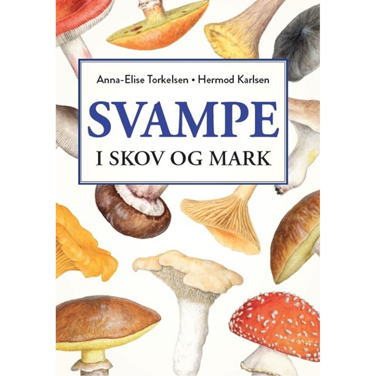 Svampe i skov og mark