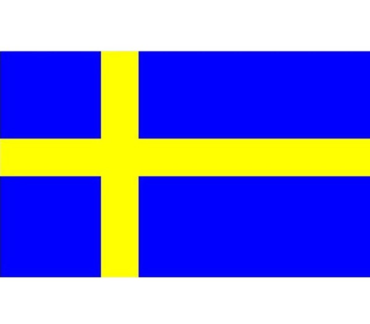 Svensk flag - 90x150 cm.