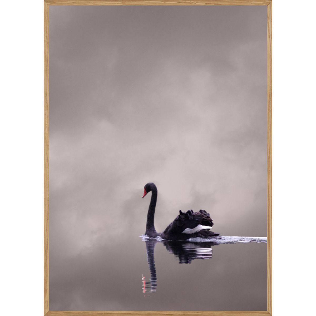 SWAN - BØRNEPLAKAT 50 x 70cm - BØRN > BØRNEPLAKATER - Living Nature