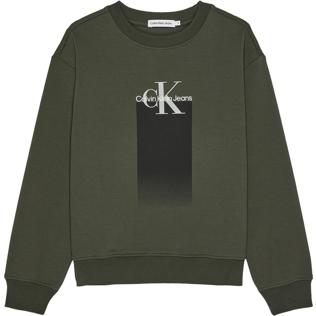 Sweatshirt (10 år/140 cm)