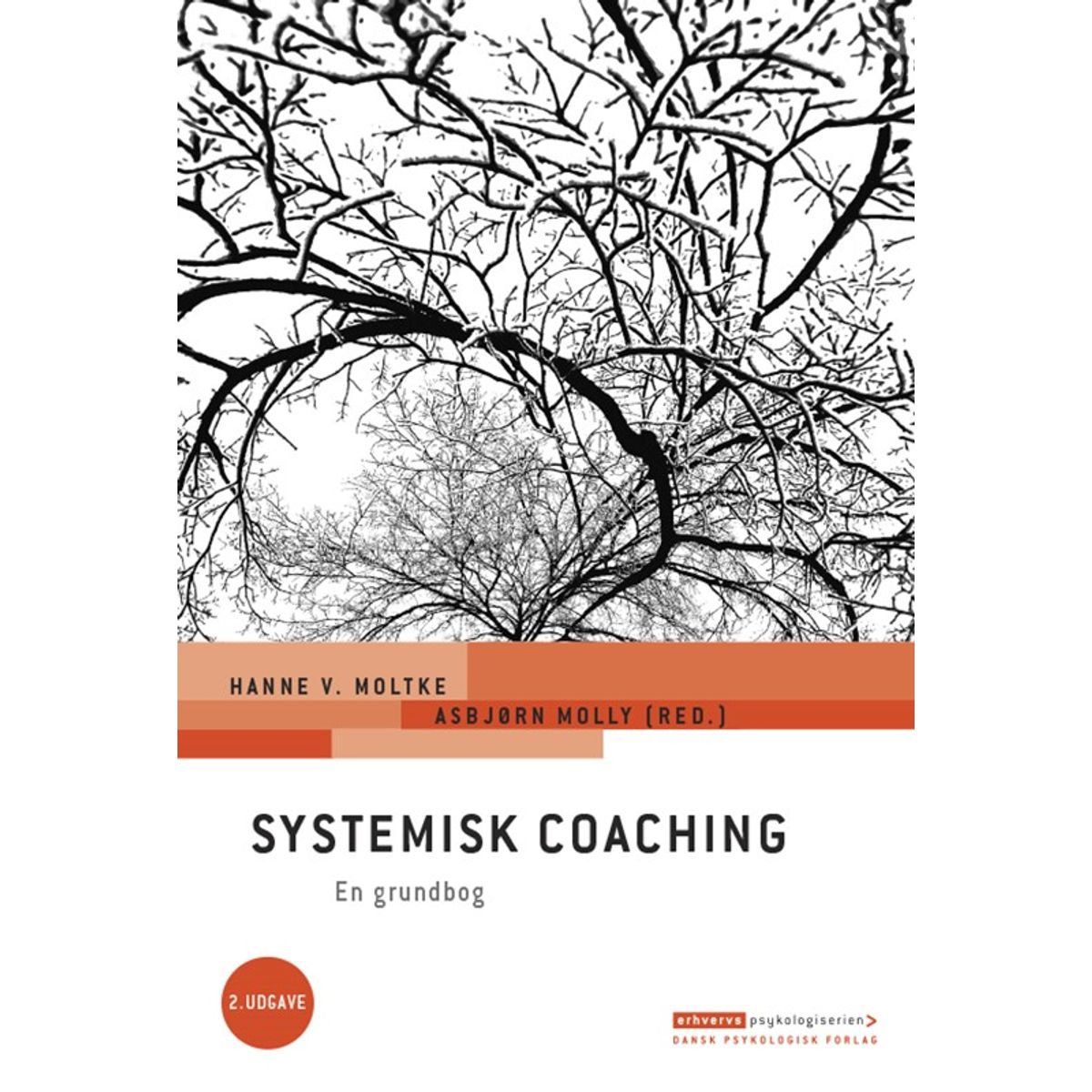 Systemisk coaching