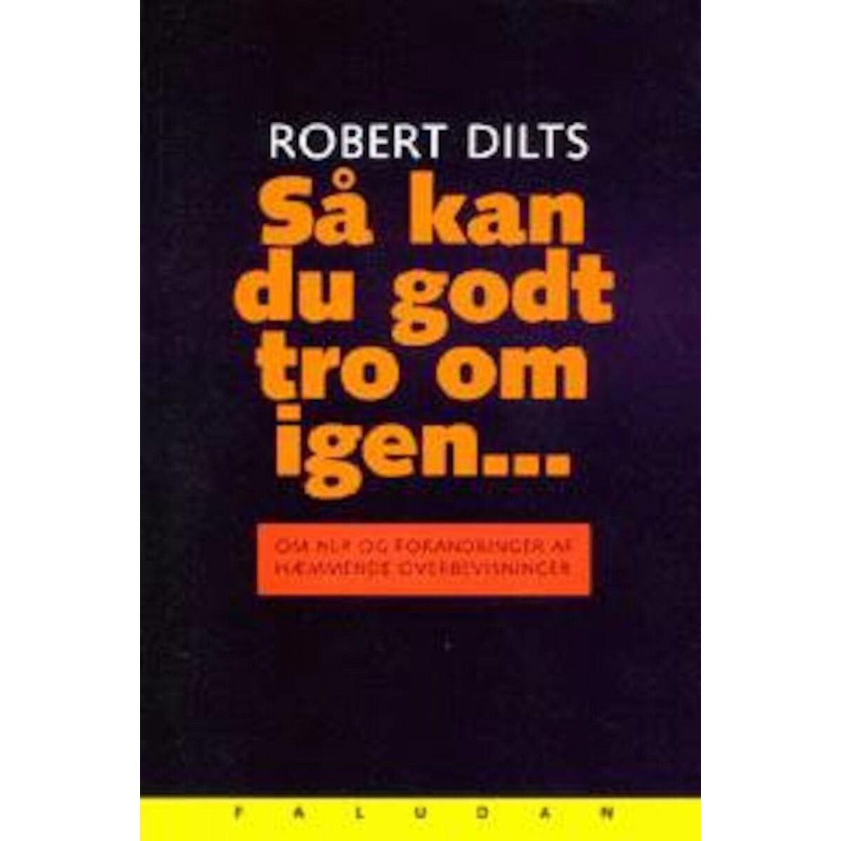 Så Kan Du Godt Tro Om Igen - Robert Dilts - Bog