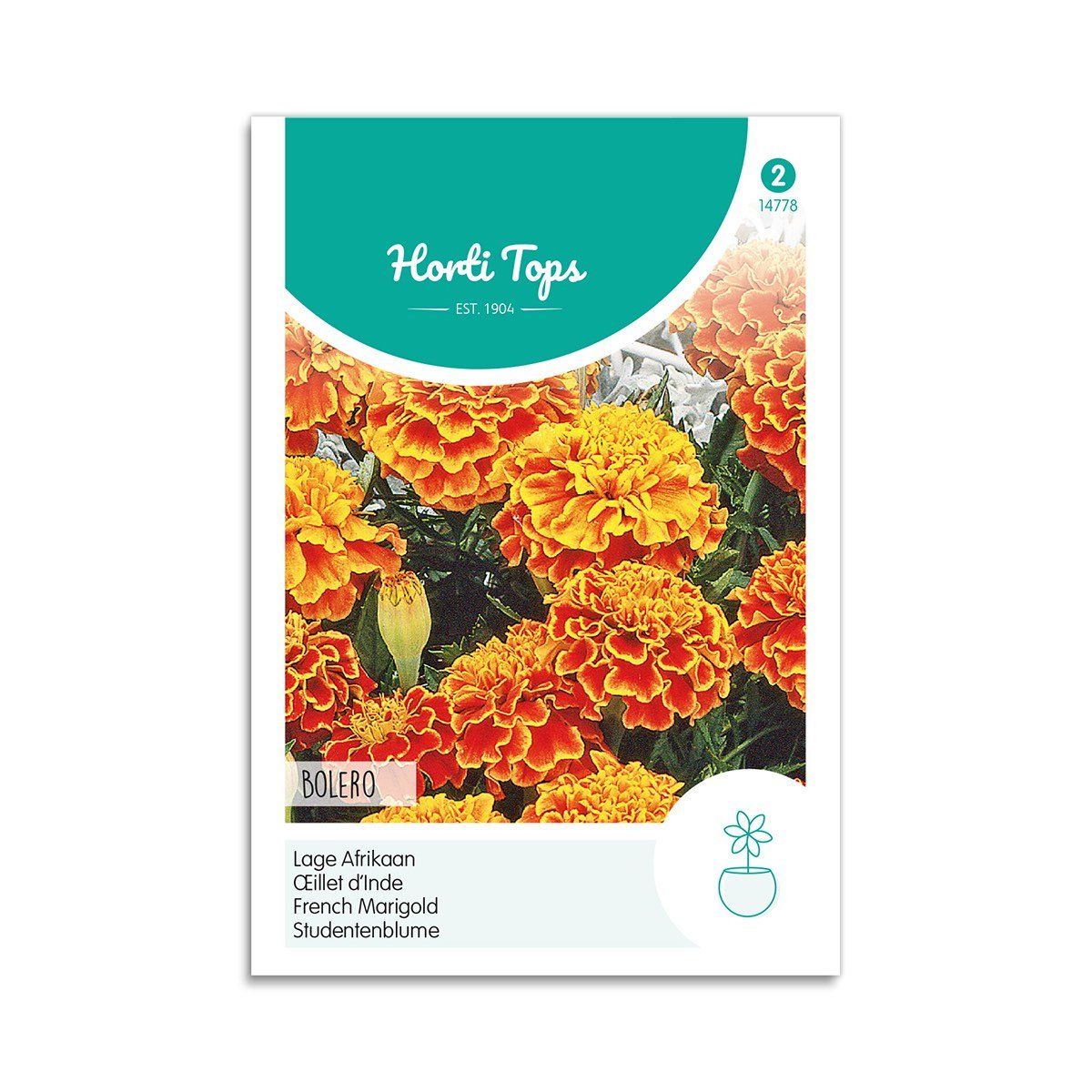 Tagetes frø "Bolero" - Horti Tops