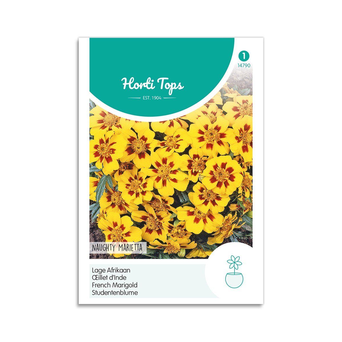 Tagetes frø "Naughty Marietta" - Horti Tops