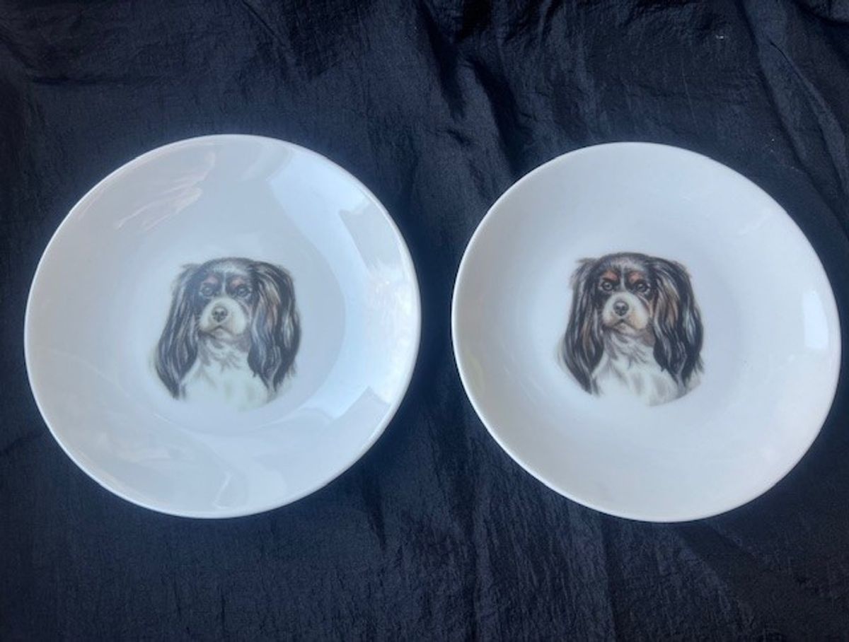 Tallerken med Cavalier King Charles Spaniel. 1stk.