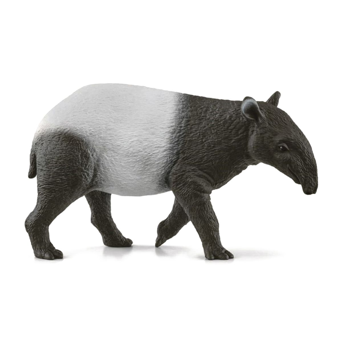 Tapir (One size)