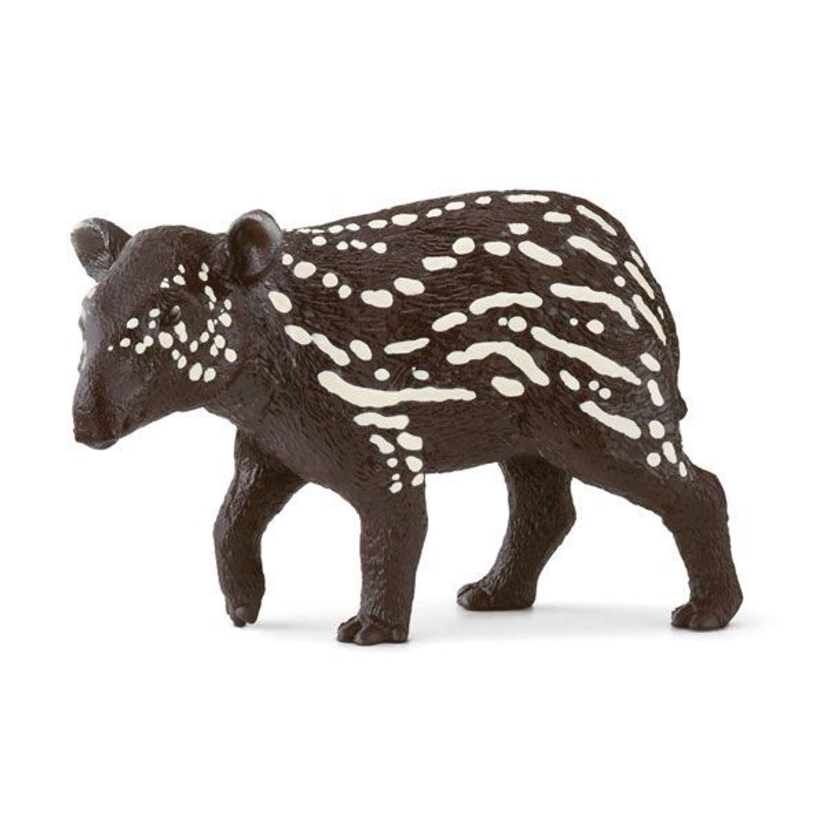 Tapir unge