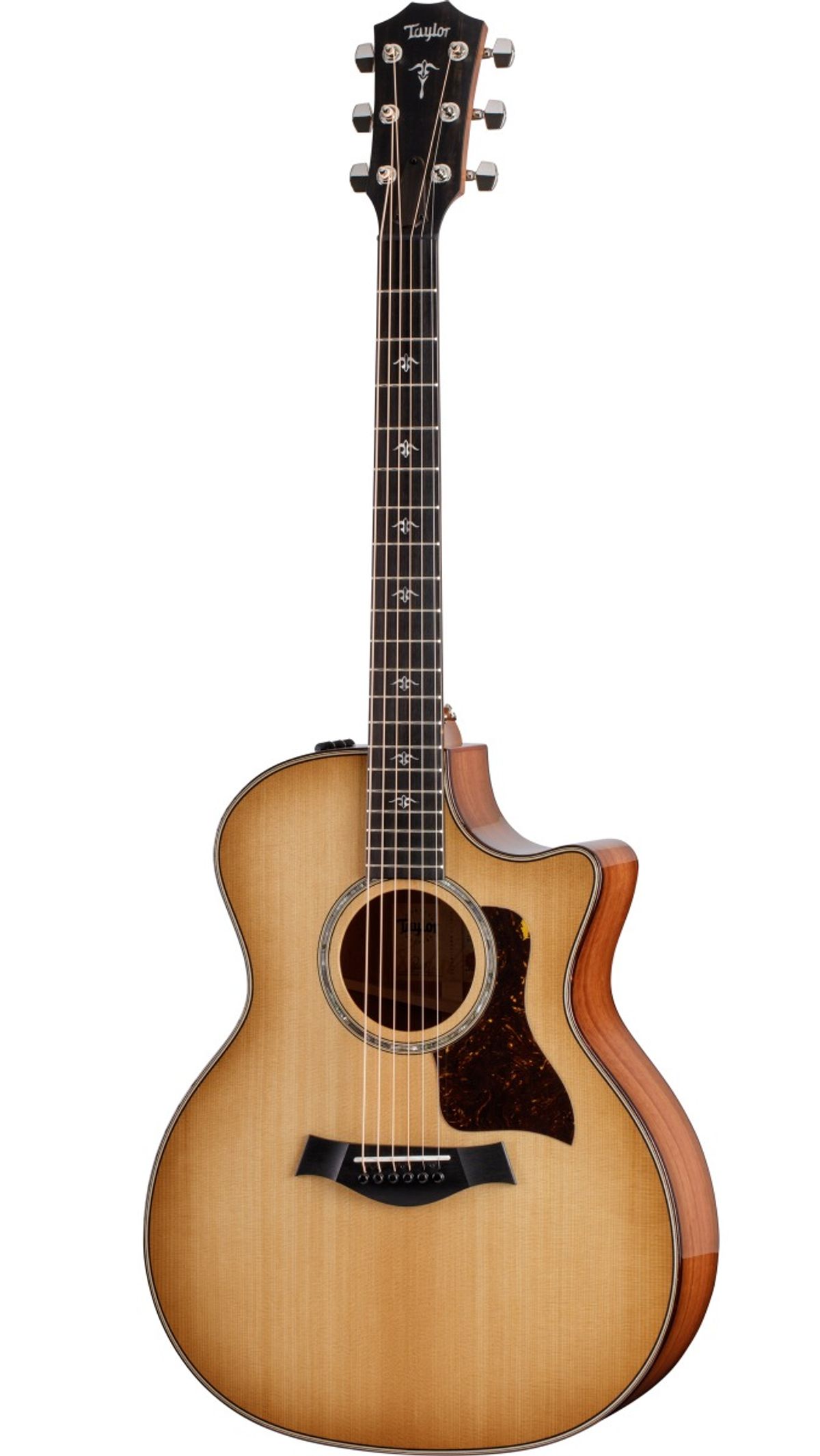 Taylor 514CE-Urban Ironbark/Torrified Sitka western-guitar