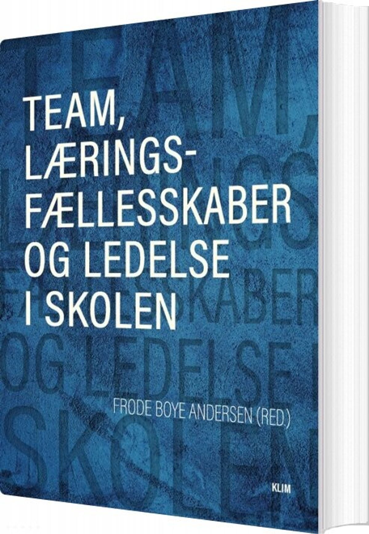 Team, Læringsfællesskaber Og Ledelse - Frode Boye Andersen - Bog