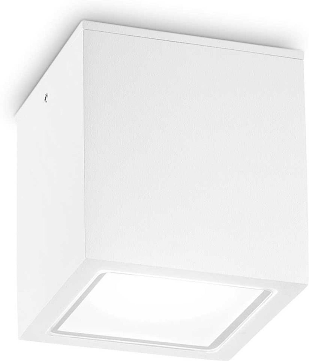 Techo, Udendørs loftslampe, GU10 max 1 x 20W, GU10, hvid, metal, glas, L150xH160xB150mm