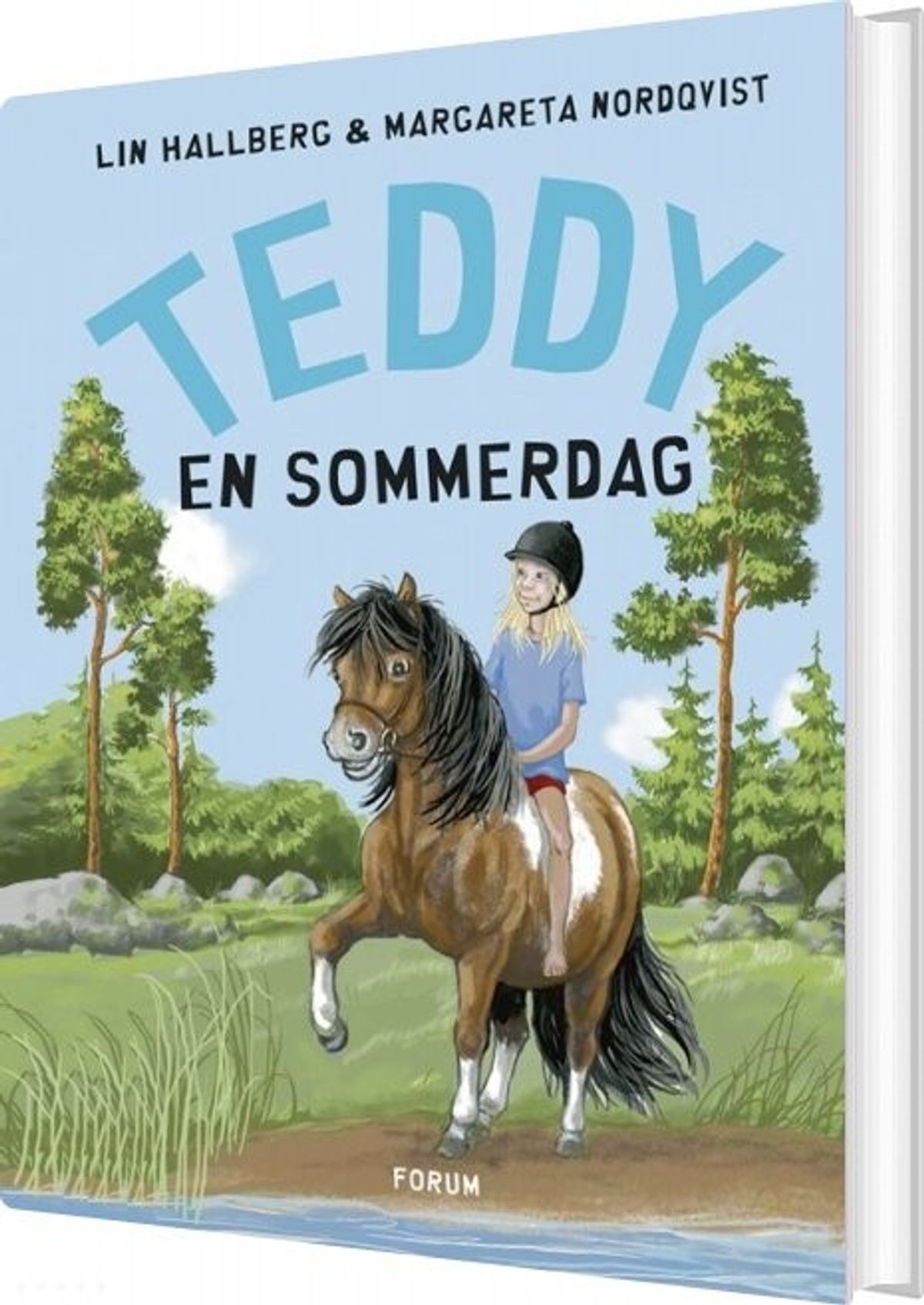 Teddy En Sommerdag - Lin Hallberg - Bog