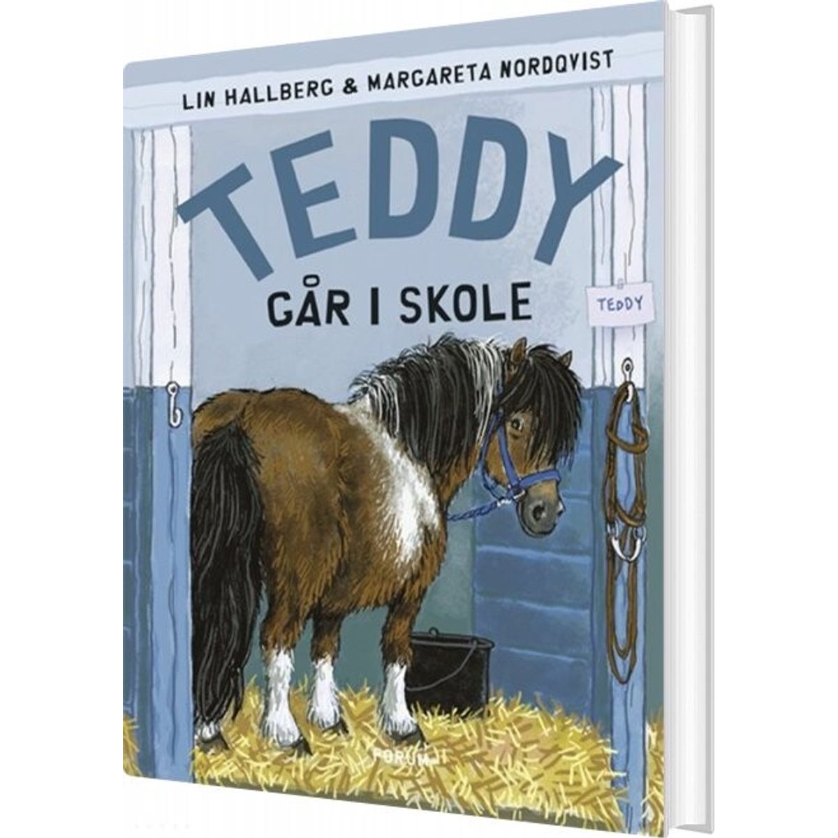 Teddy Går I Skole - Lin Hallberg - Bog