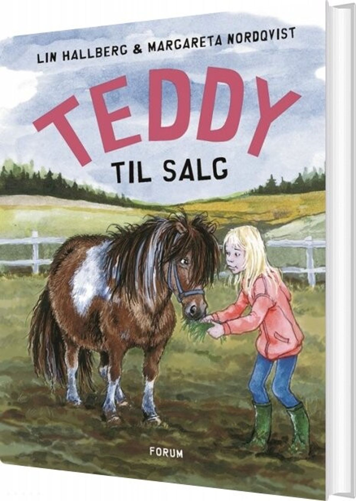 Teddy Til Salg - Lin Hallberg - Bog