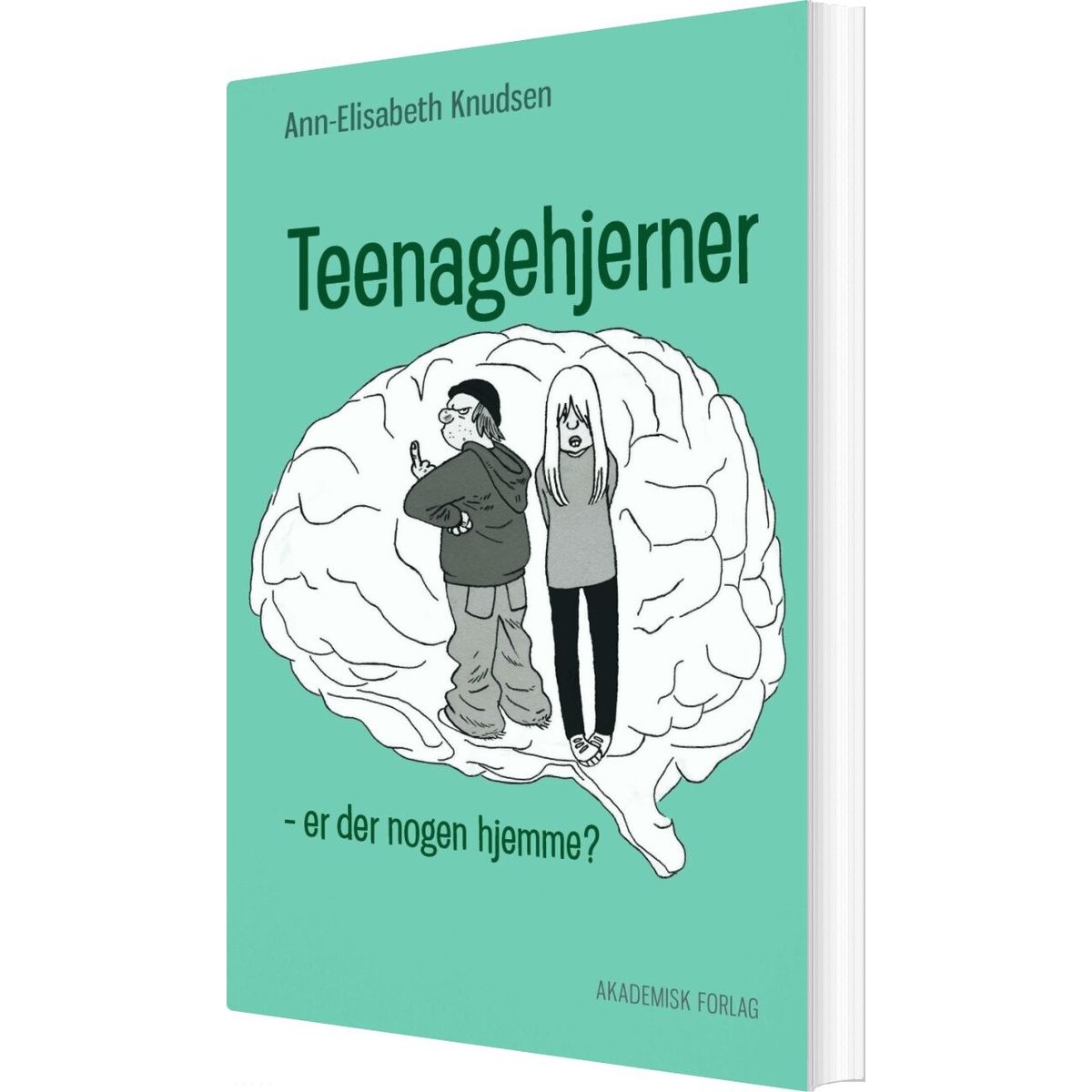 Teenagehjerner - Ann-elisabeth Knudsen - Bog