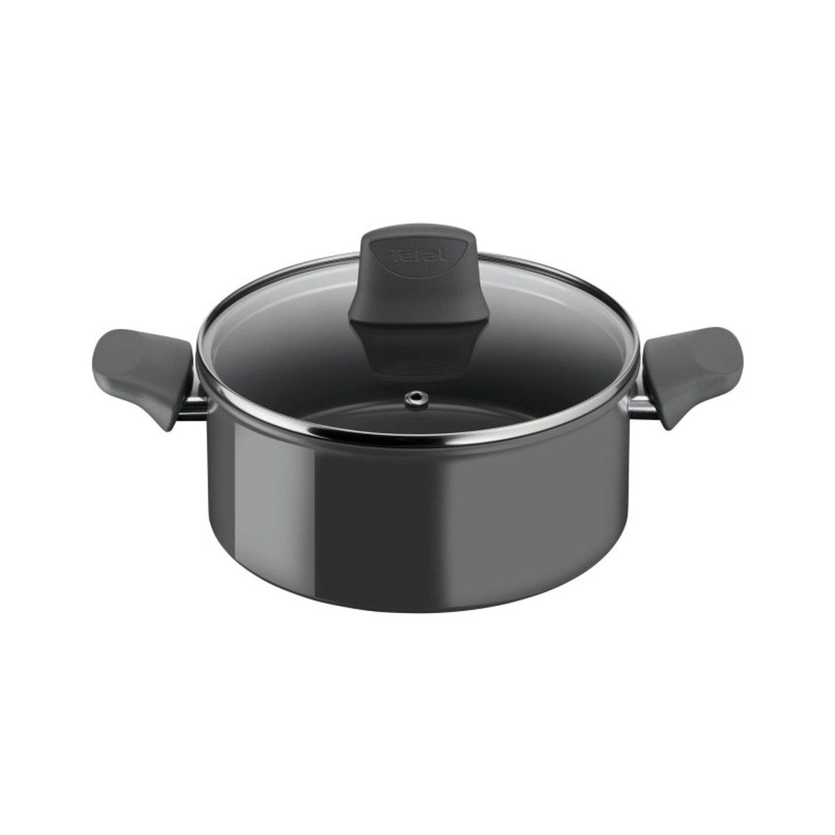 Tefal Renewal Ø20 Gryde