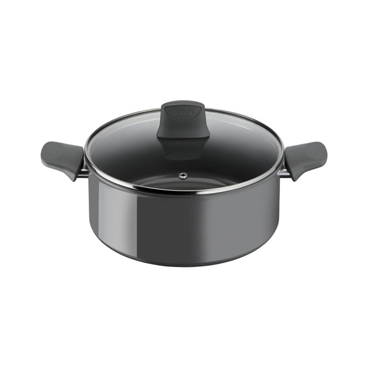 Tefal Renewal Ø24 Gryde