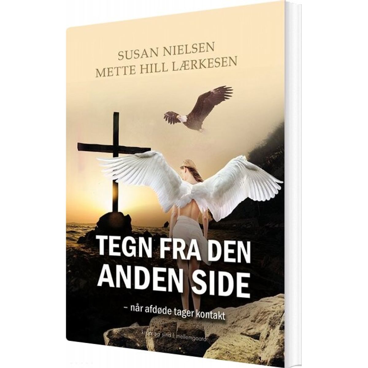 Tegn Fra Den Anden Side - Susan Nielsen - Bog