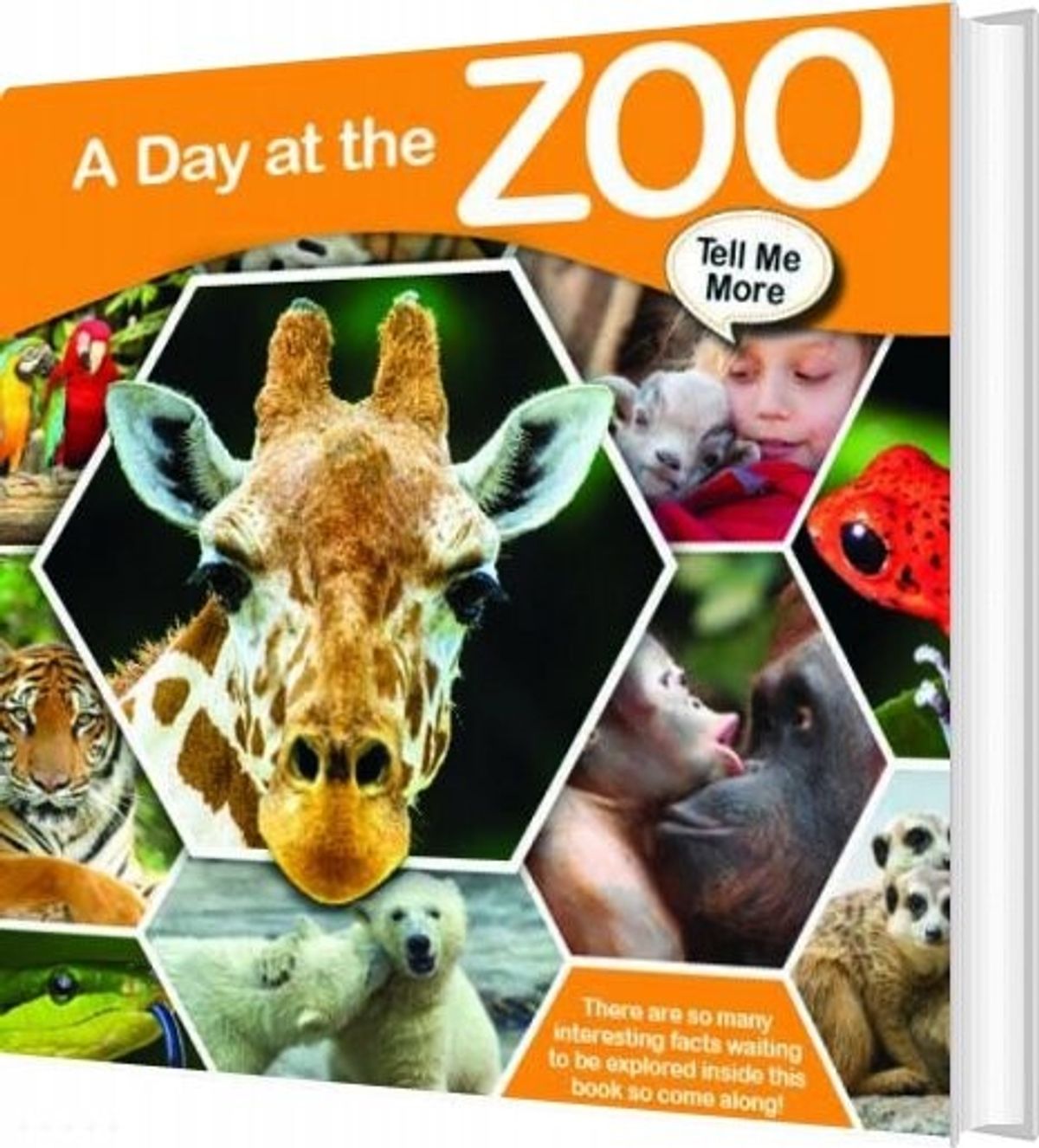 Tell Me More - A Day At The Zoo - Diverse - English Book