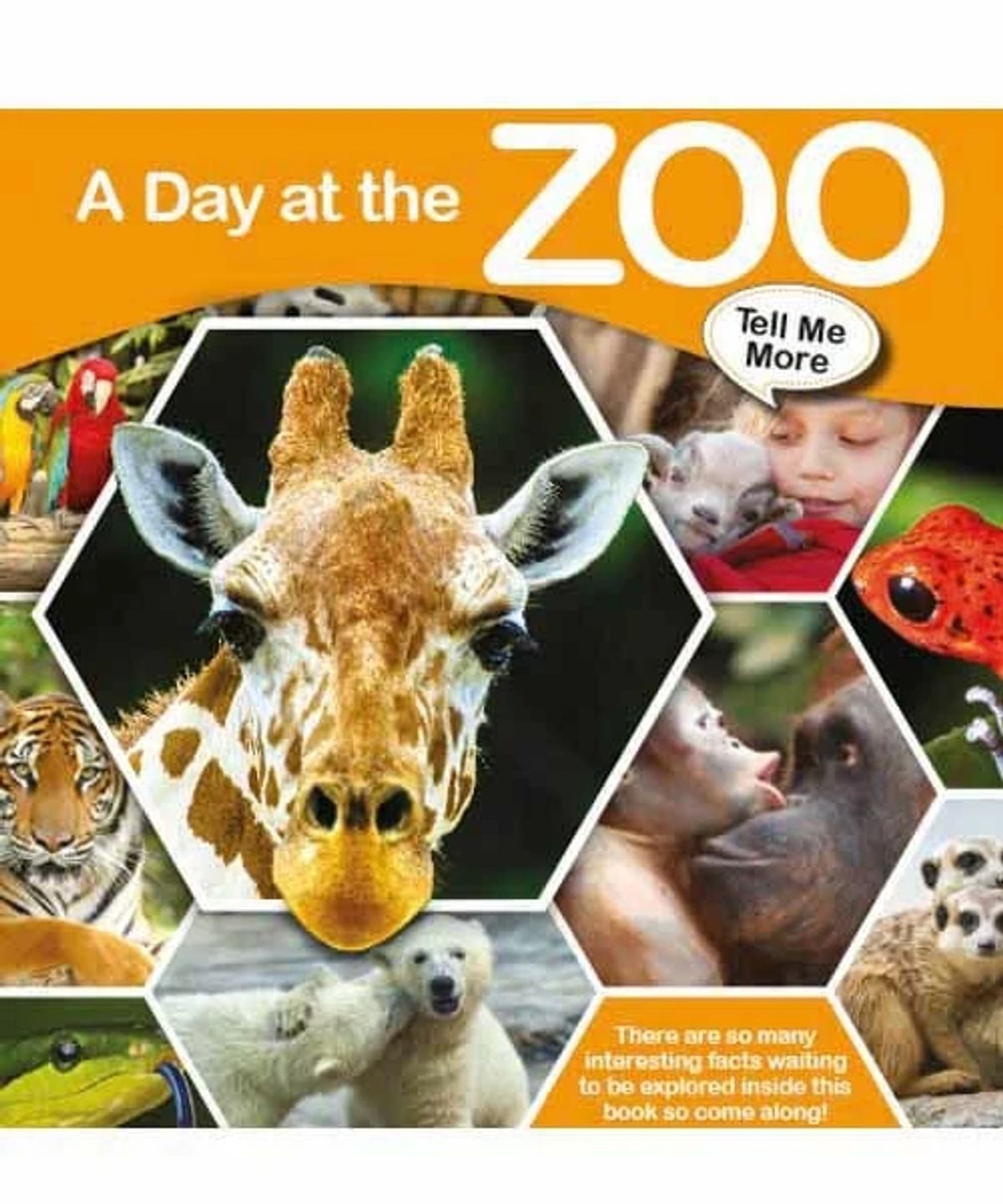 Tell Me More - A Day at the Zoo