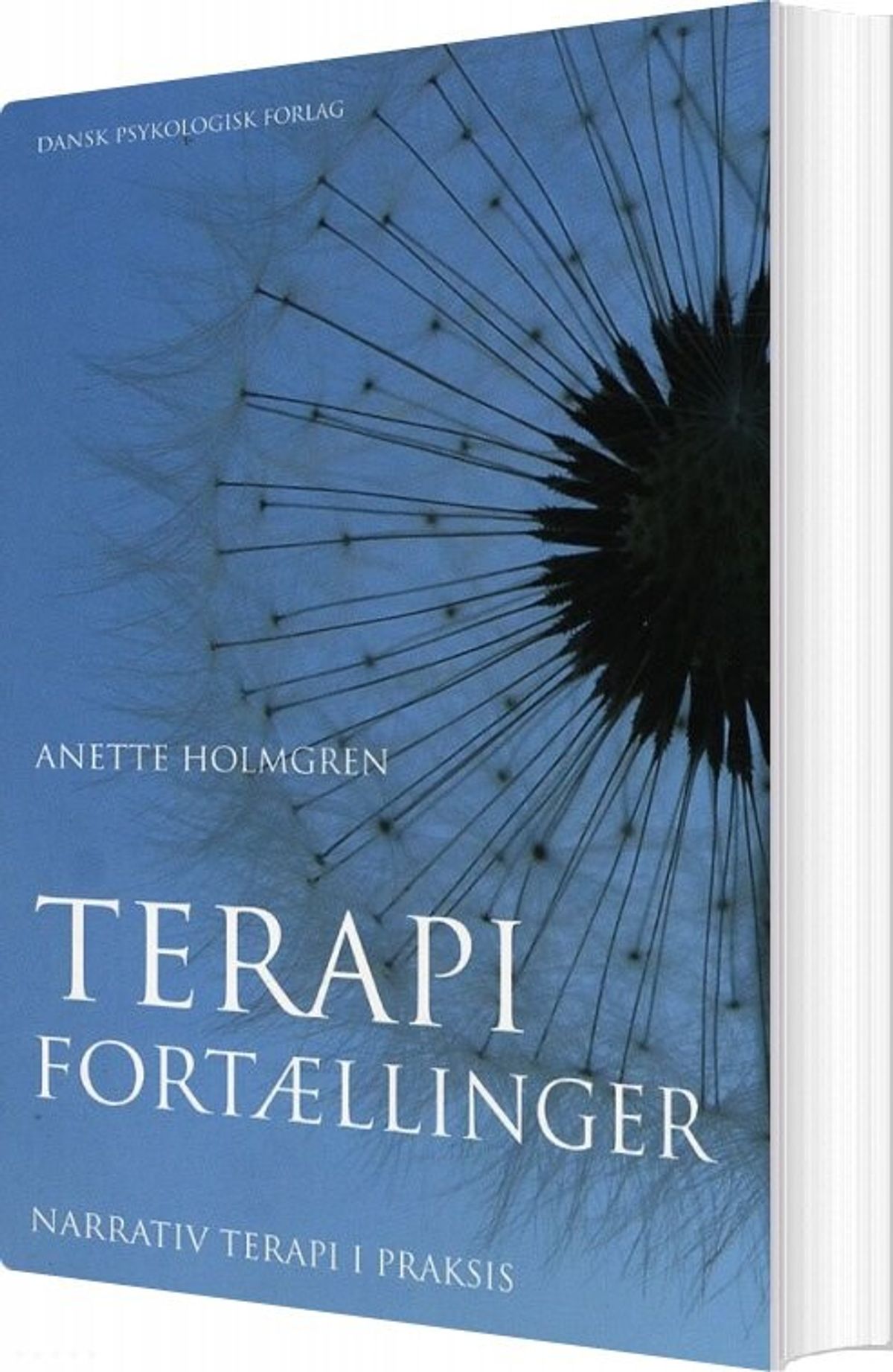 Terapifortællinger - Anette Holmgren - Bog