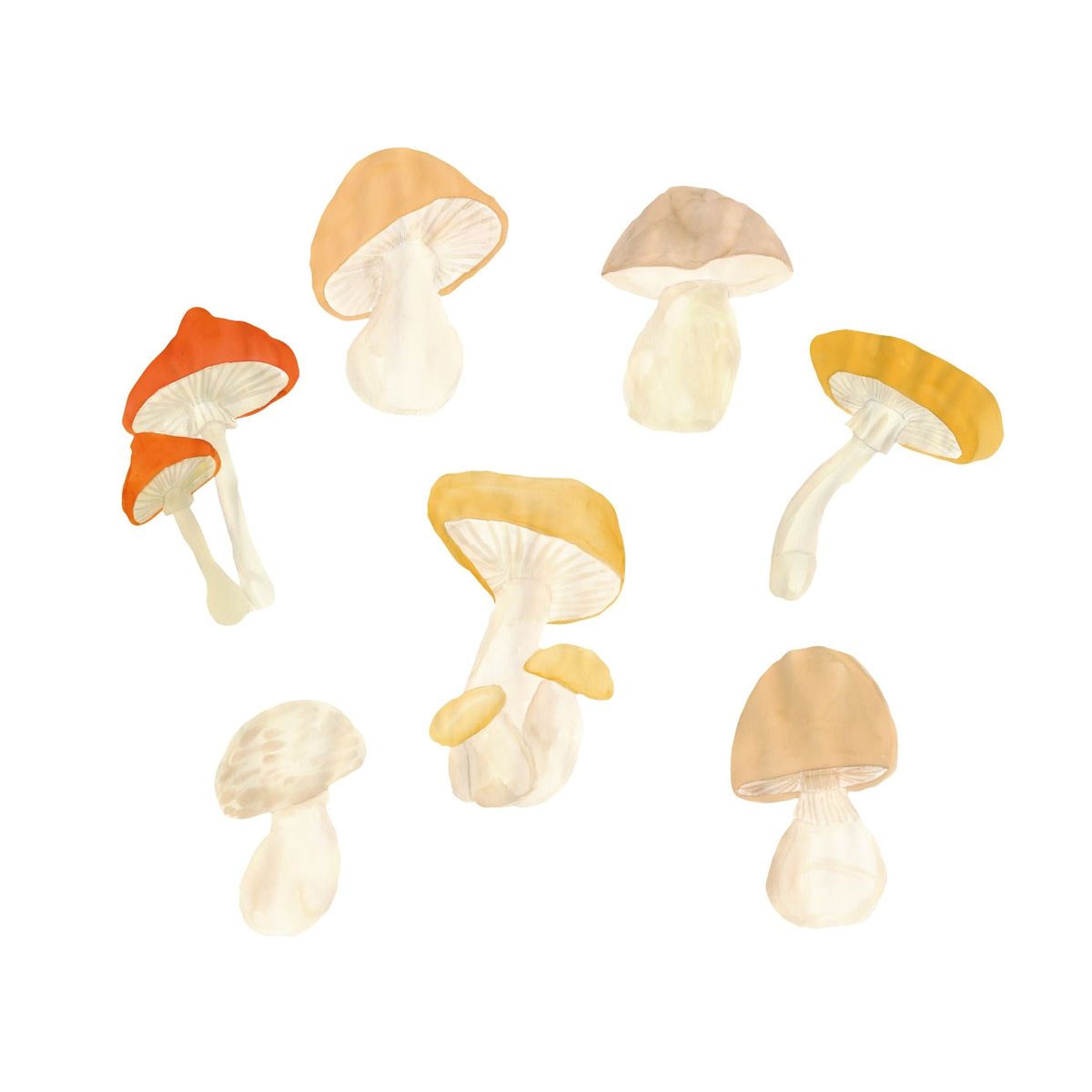 That's Mine - Wallsticker Forest mushrooms - Multi