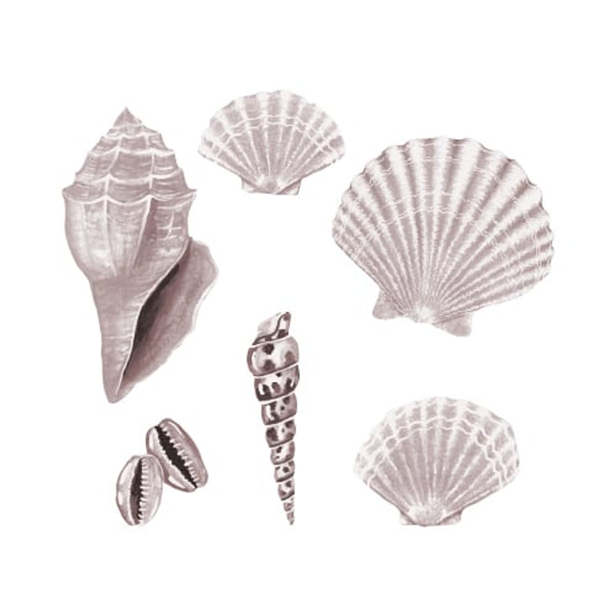 That's Mine - Wallsticker Sea shell Rose - Rose