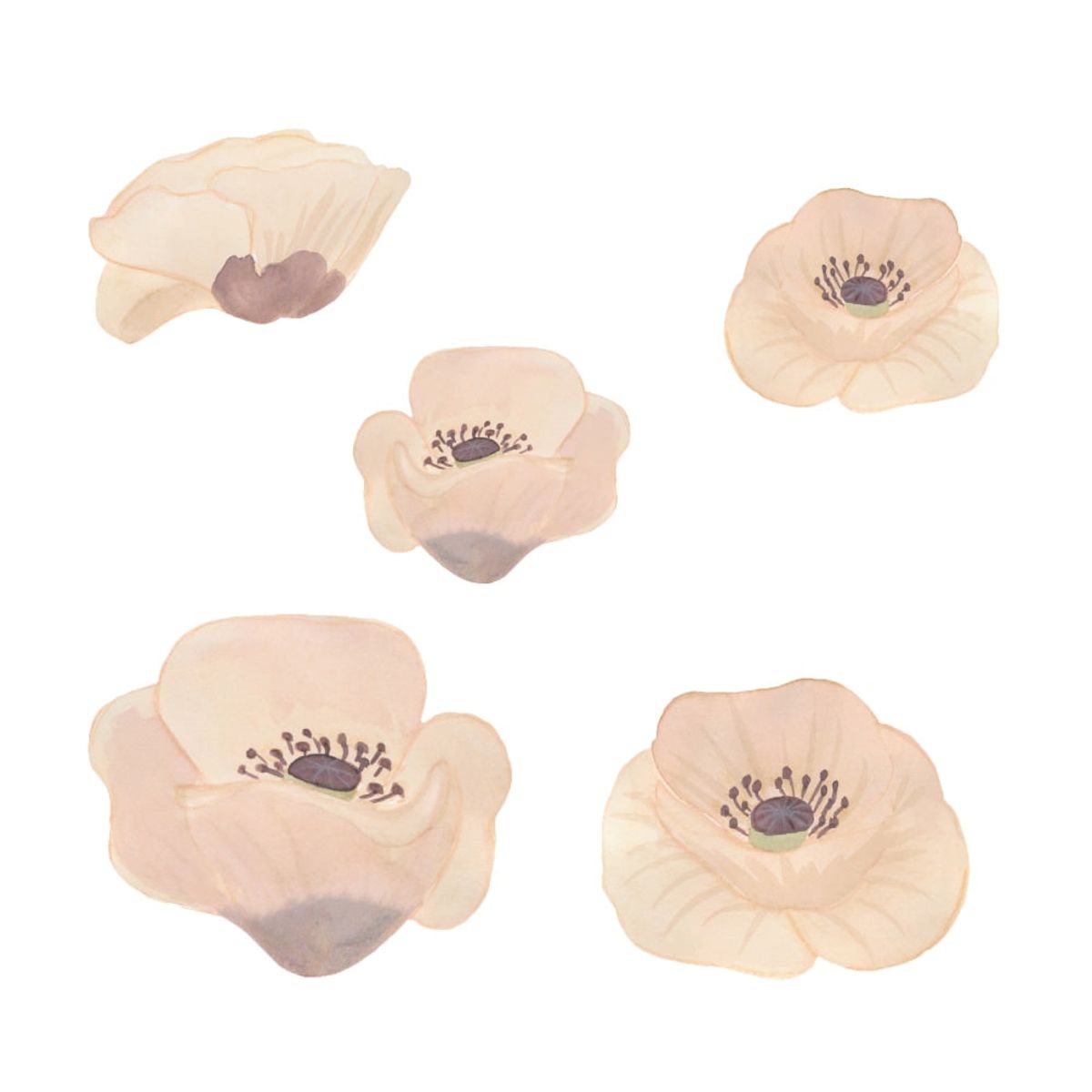 That's Mine - Wallsticker valmue - Poppy flower