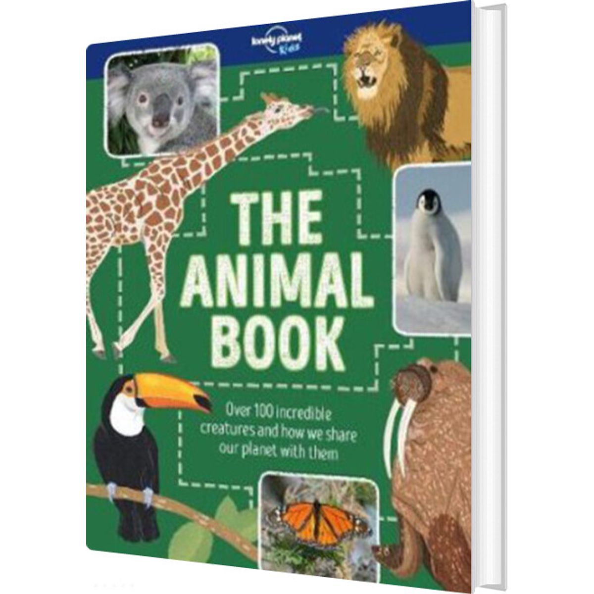 The Animal Book - Lonely Planet - English Book