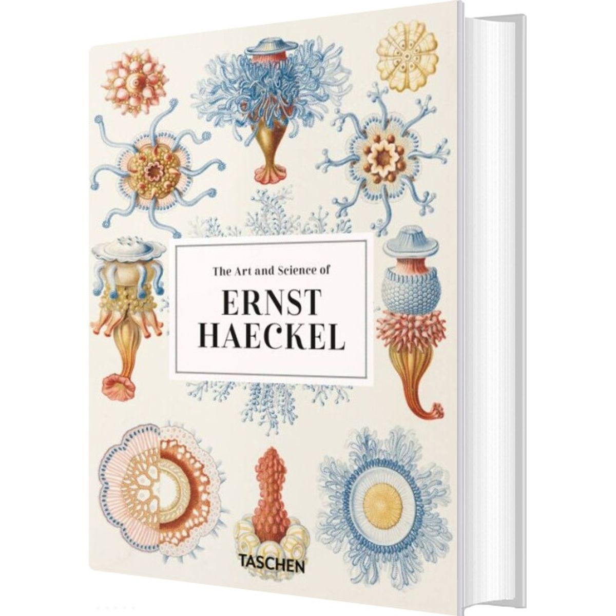 The Art And Science Of Ernst Haeckel - Rainer Willmann - English Book