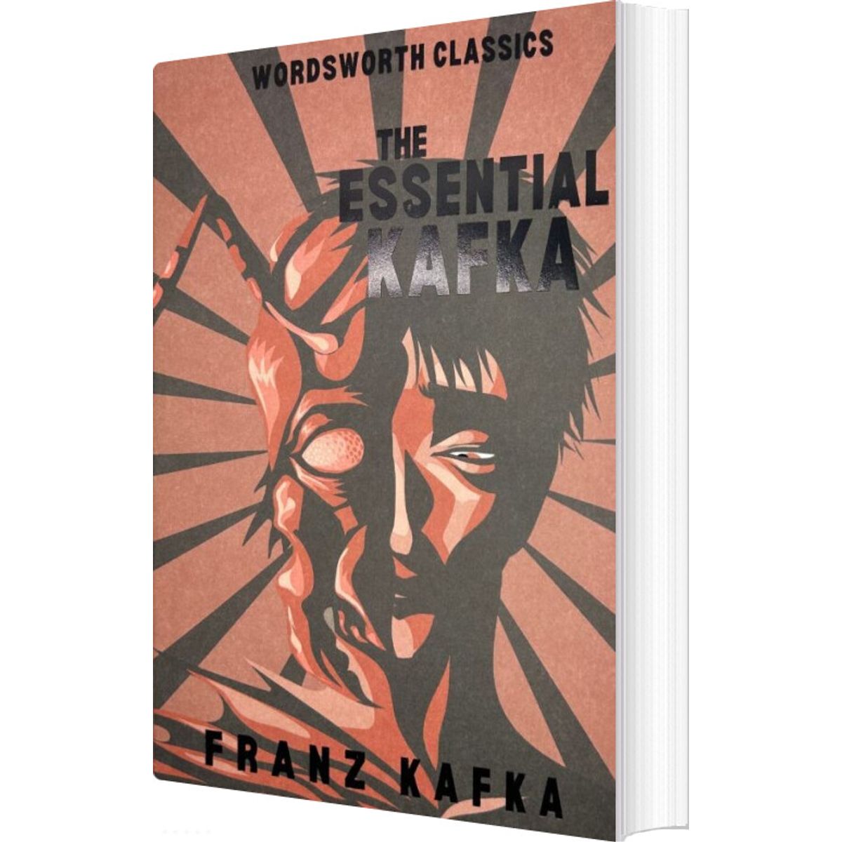 The Essential Kafka - Franz Kafka - English Book