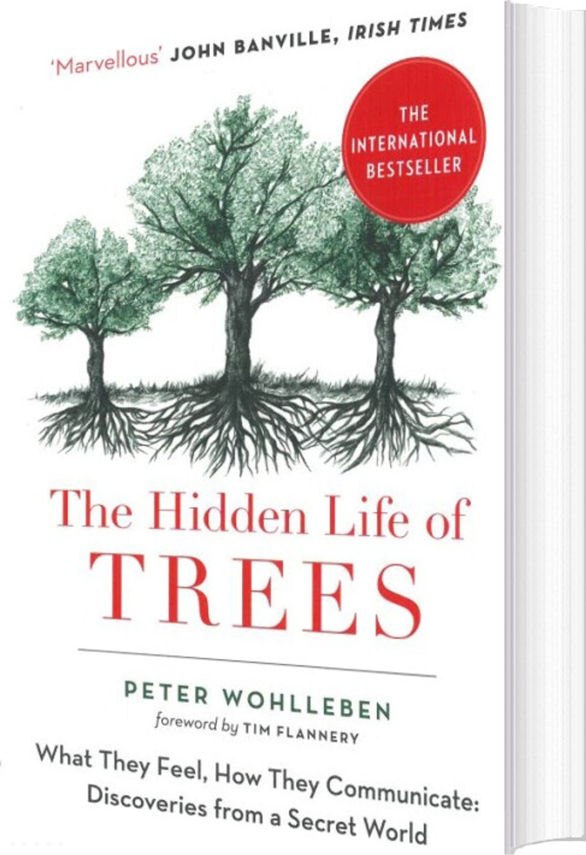 The Hidden Life Of Trees: What They Feel, How They Communicate - Peter Wohlleben - English Book