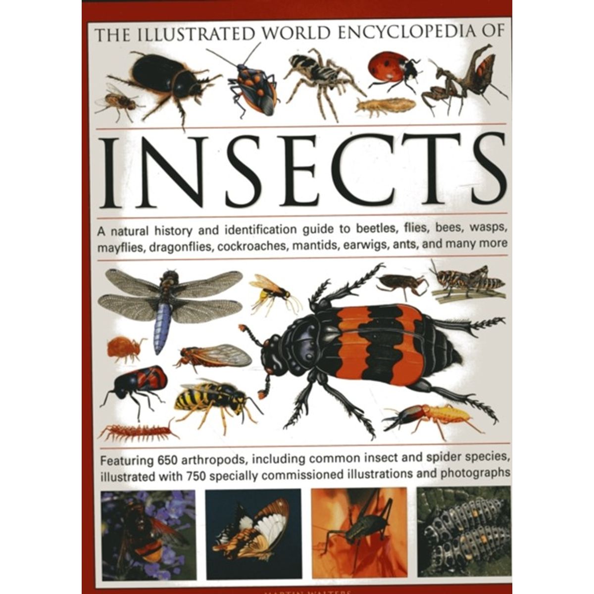 The Illustrated World Encyclopaedia of Insects