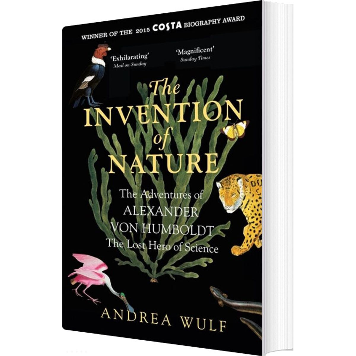 The Invention Of Nature - Andrea Wulf - English Book