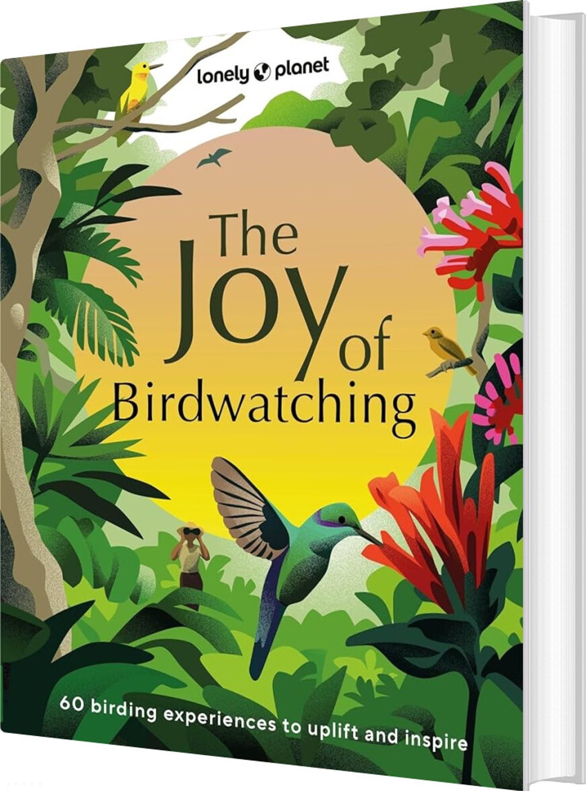 The Joy Of Birdwatching - Diverse - English Book