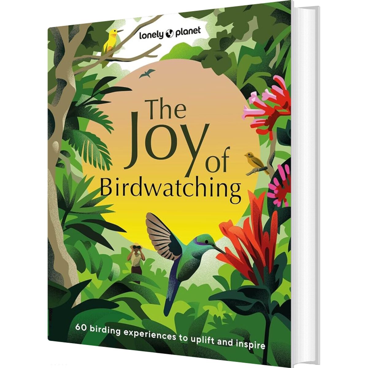 The Joy Of Birdwatching - Lonely Planet - English Book