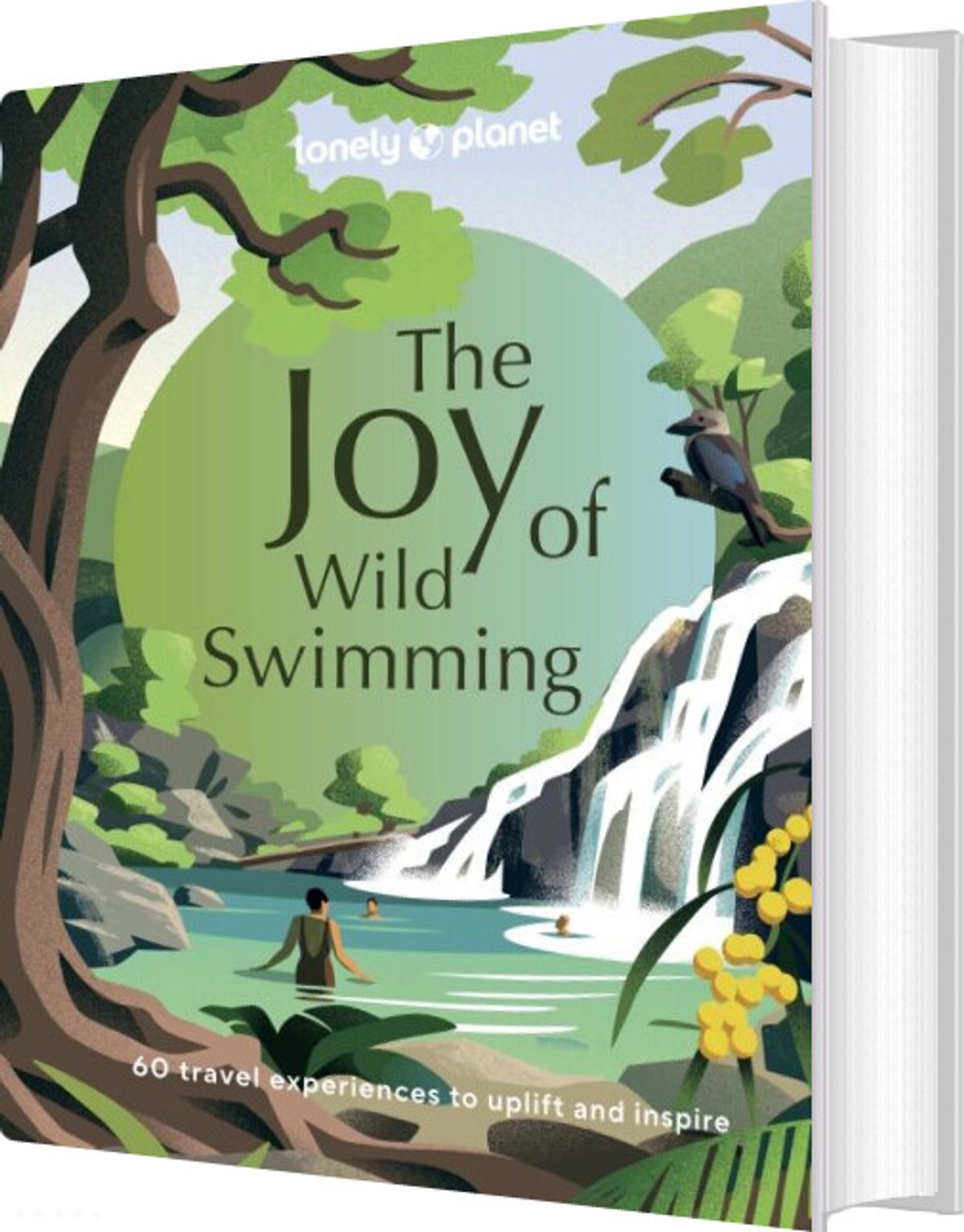 The Joy Of Wild Swimming - Diverse - English Book