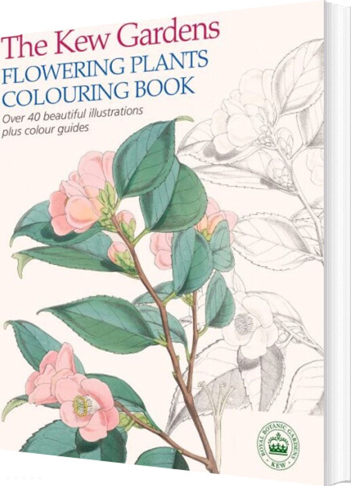 The Kew Gardens Flowering Plants Colouring Book - Royal Botanic Gardens - English Book