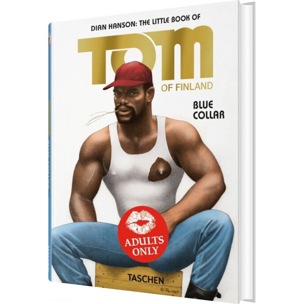 The Little Book Of Tom: Blue Collar - Tom Of Finland - English Book