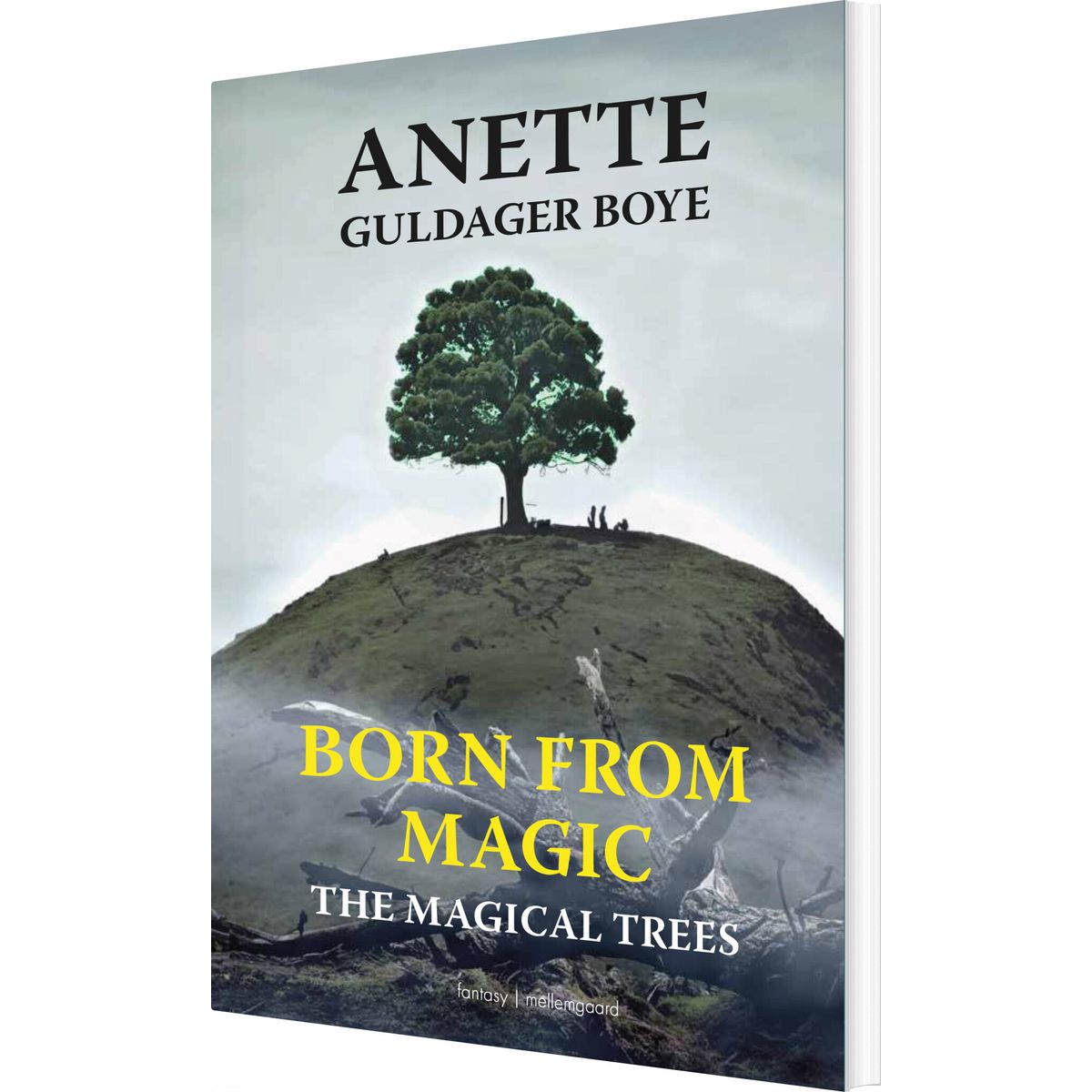 The Magical Trees - Anette Guldager Boye - English Book