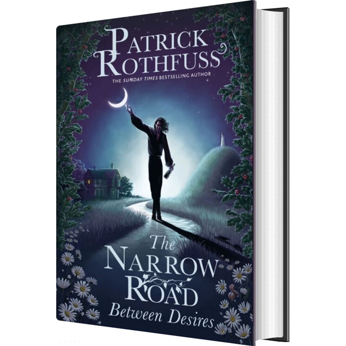 The Narrow Road Between Desires - Patrick Rothfuss - English Book