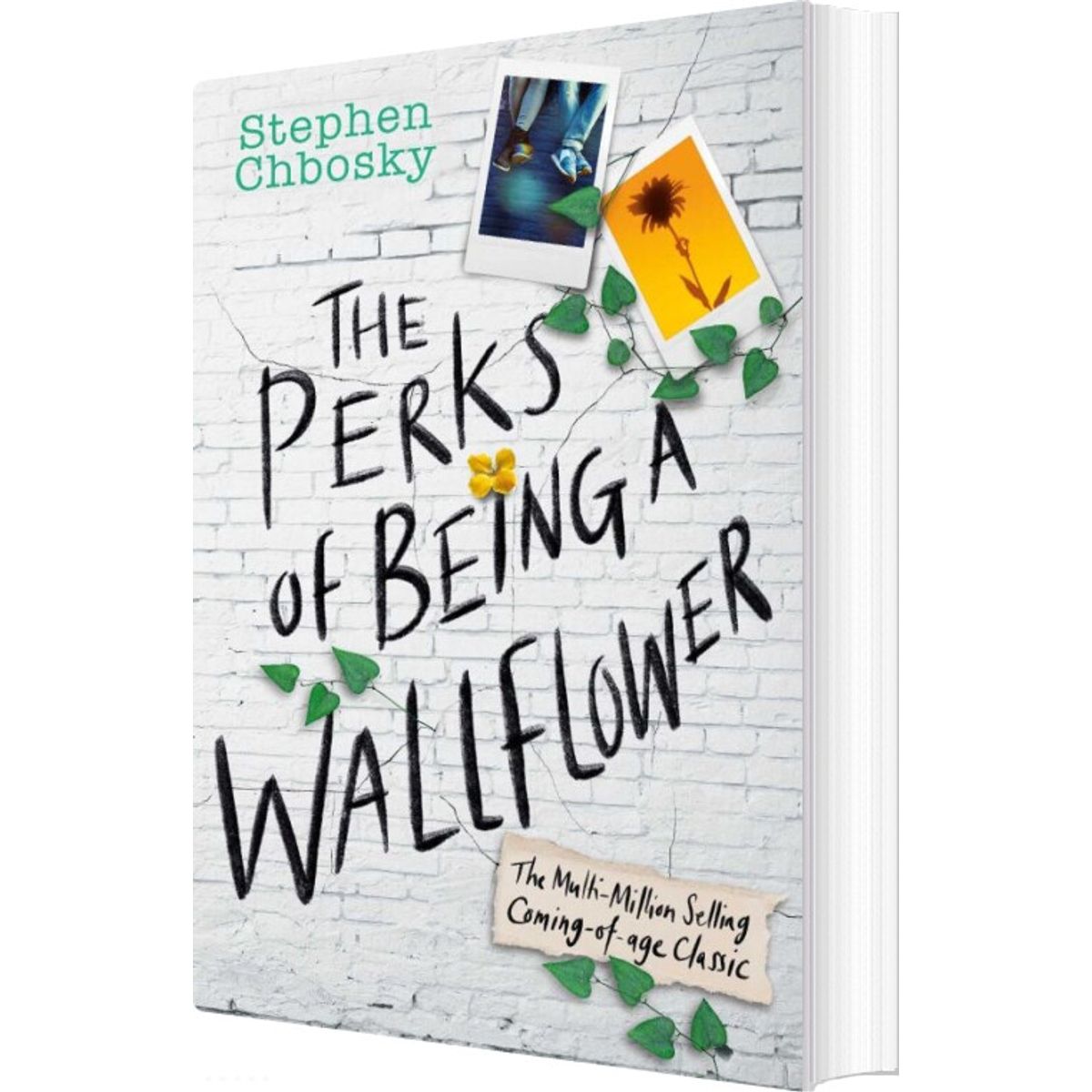 The Perks Of Being A Wallflower - Stephen Chbosky - English Book