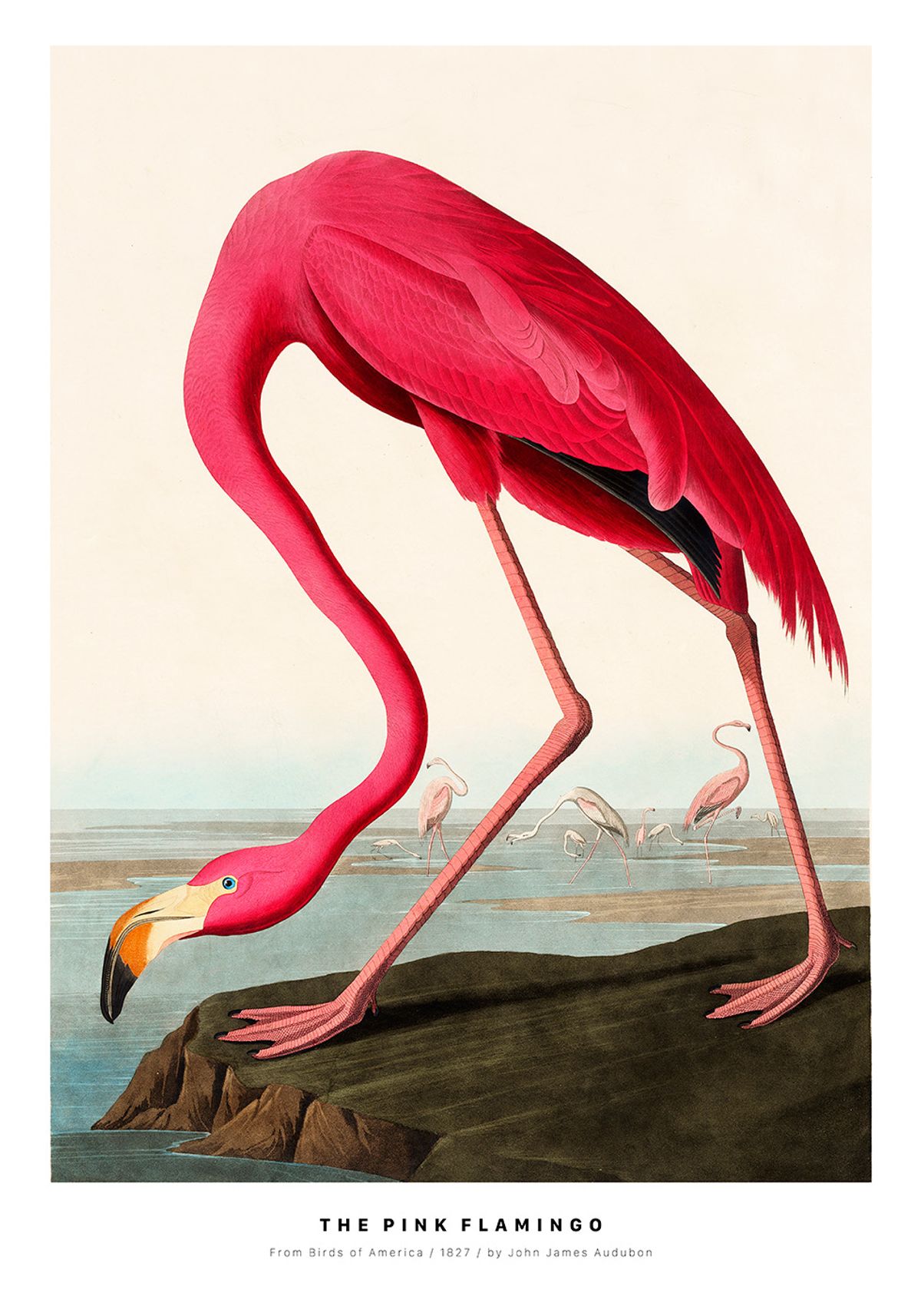 The Pink Flamingo af Plakatwerket