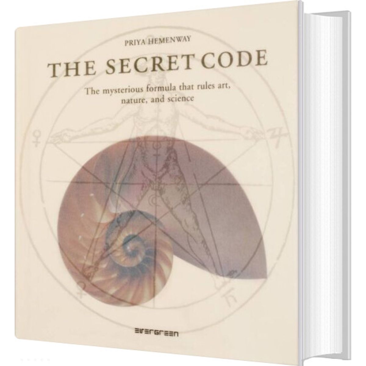 The Secret Code - Priya Hemenway - English Book