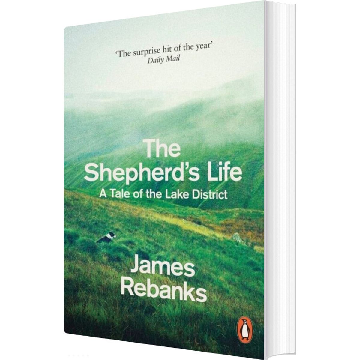 The Shepherd's Life: A Tale Of The Lake District - James Rebanks - English Book