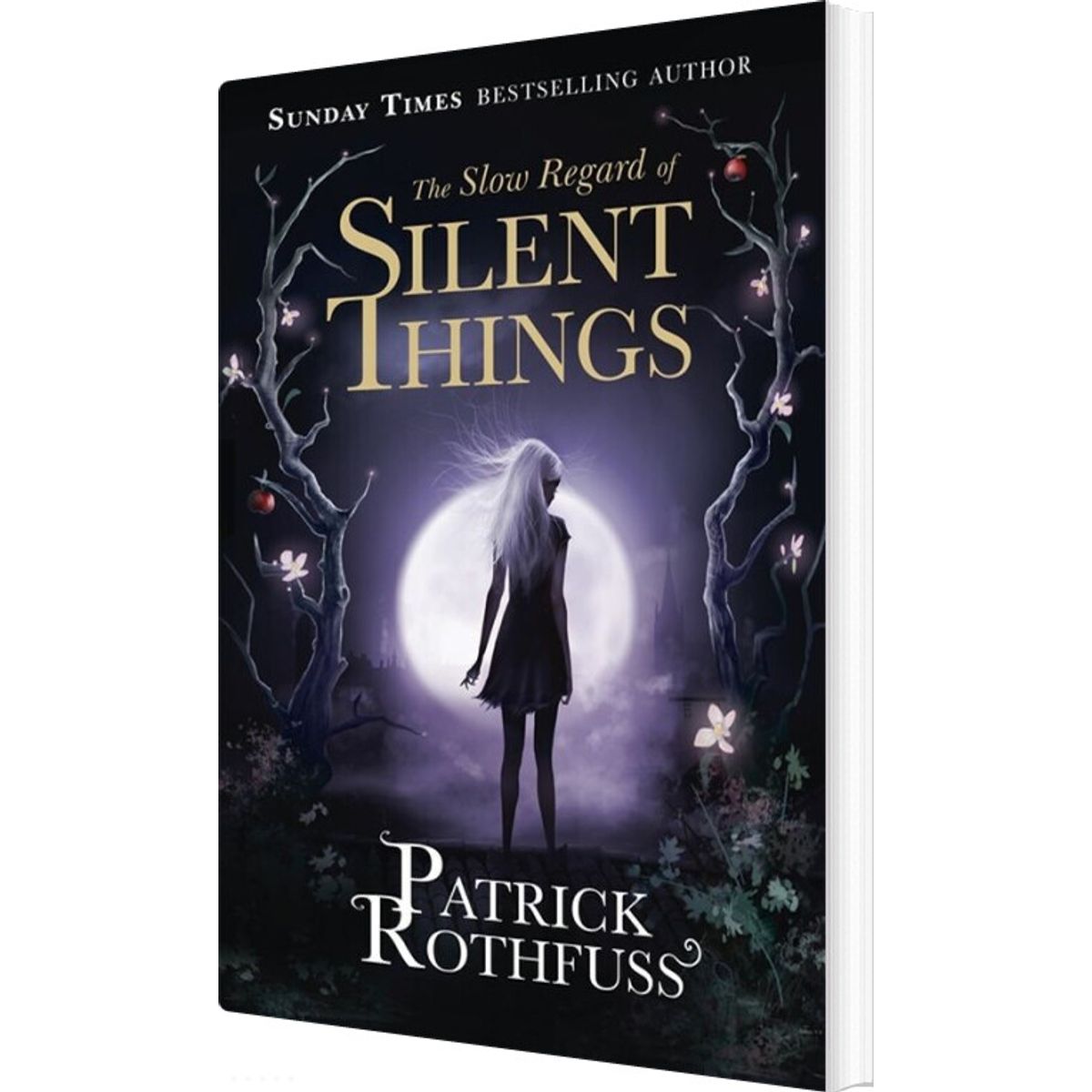 The Slow Regard Of Silent Things - Patrick Rothfuss - English Book