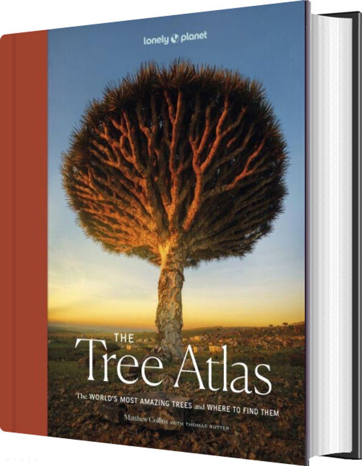 The Tree Atlas - Diverse - English Book