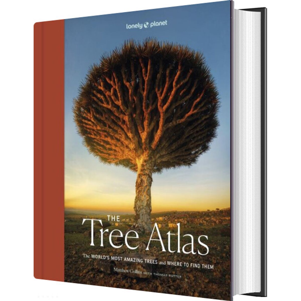 The Tree Atlas - Lonely Planet - English Book