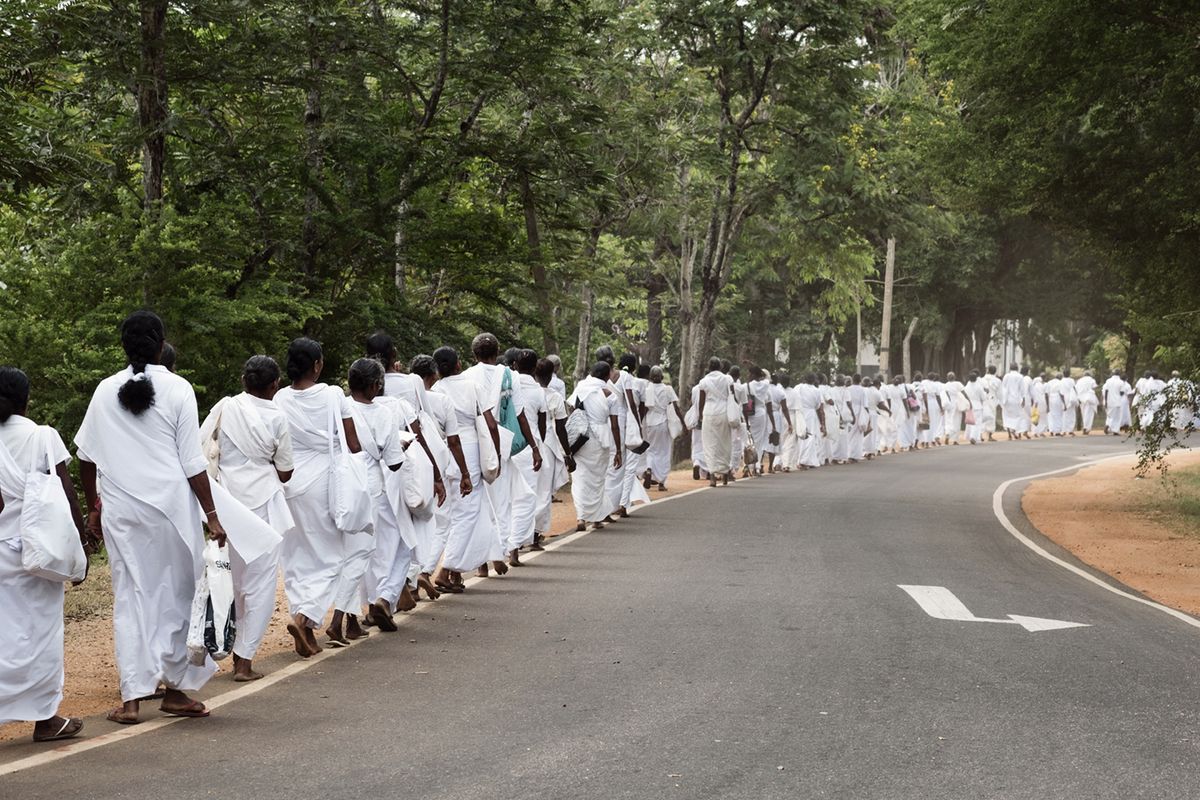 The walk Sri Lanka af Frames