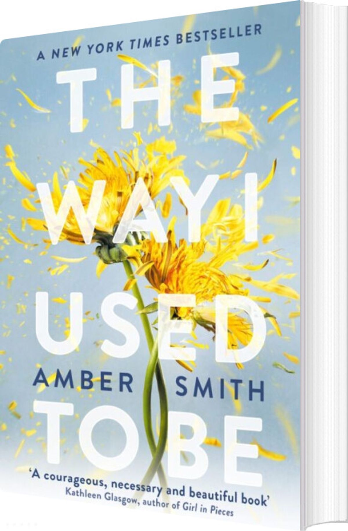 The Way I Used To Be - Amber Smith - English Book